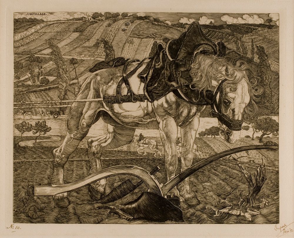 Hevonen ja aura, 1899
