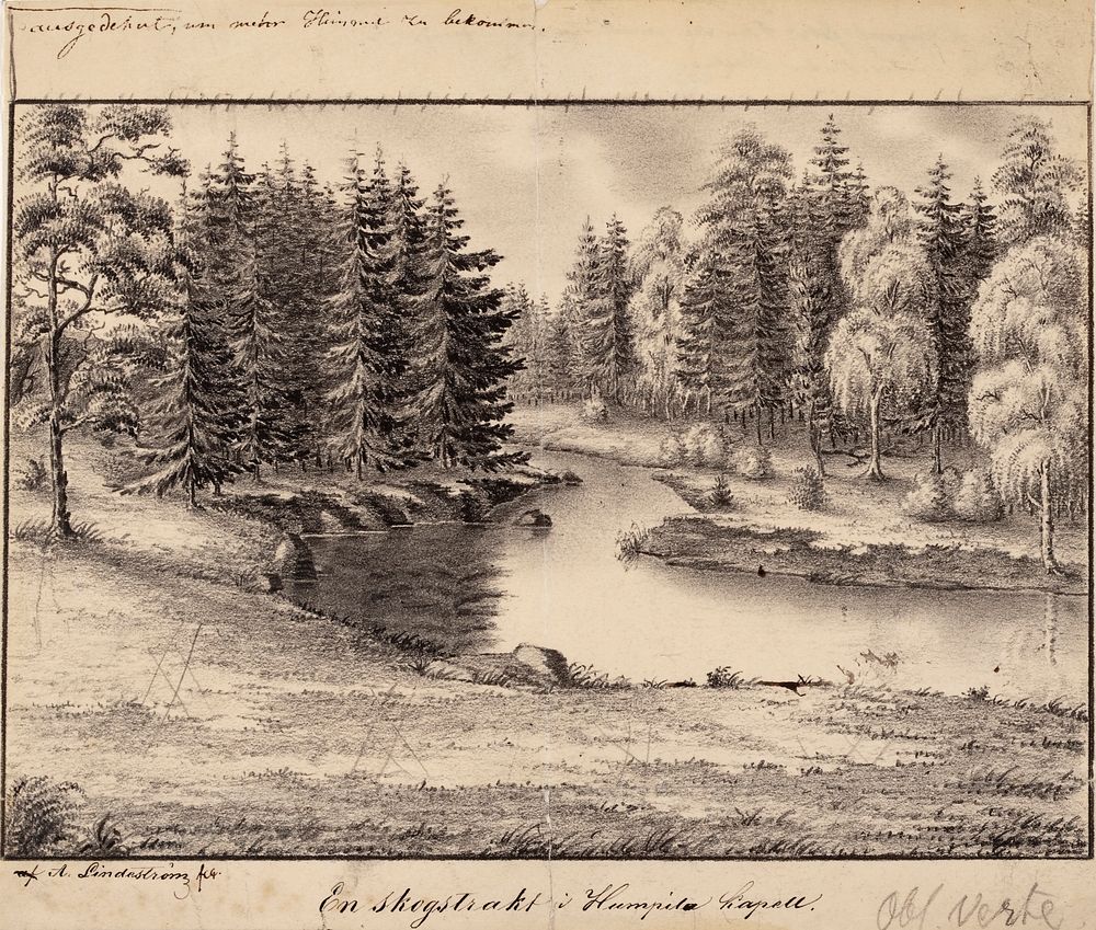 Humppila woodlands, original drawing for finland depicted in drawings, 1844 - 1849