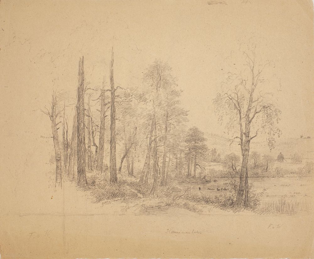 Landscape from haminalahti, 1845 - 1900