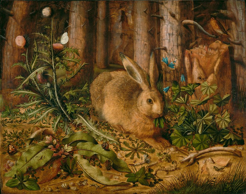 A Hare in the Forest; Hans Hoffmann (German, about 1530 - 1591/1592)