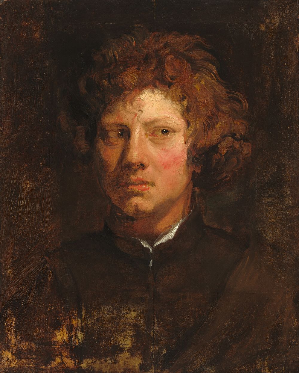 Head of a Young Man (ca. 1617&ndash;1618) by Sir Anthony van Dyck.  