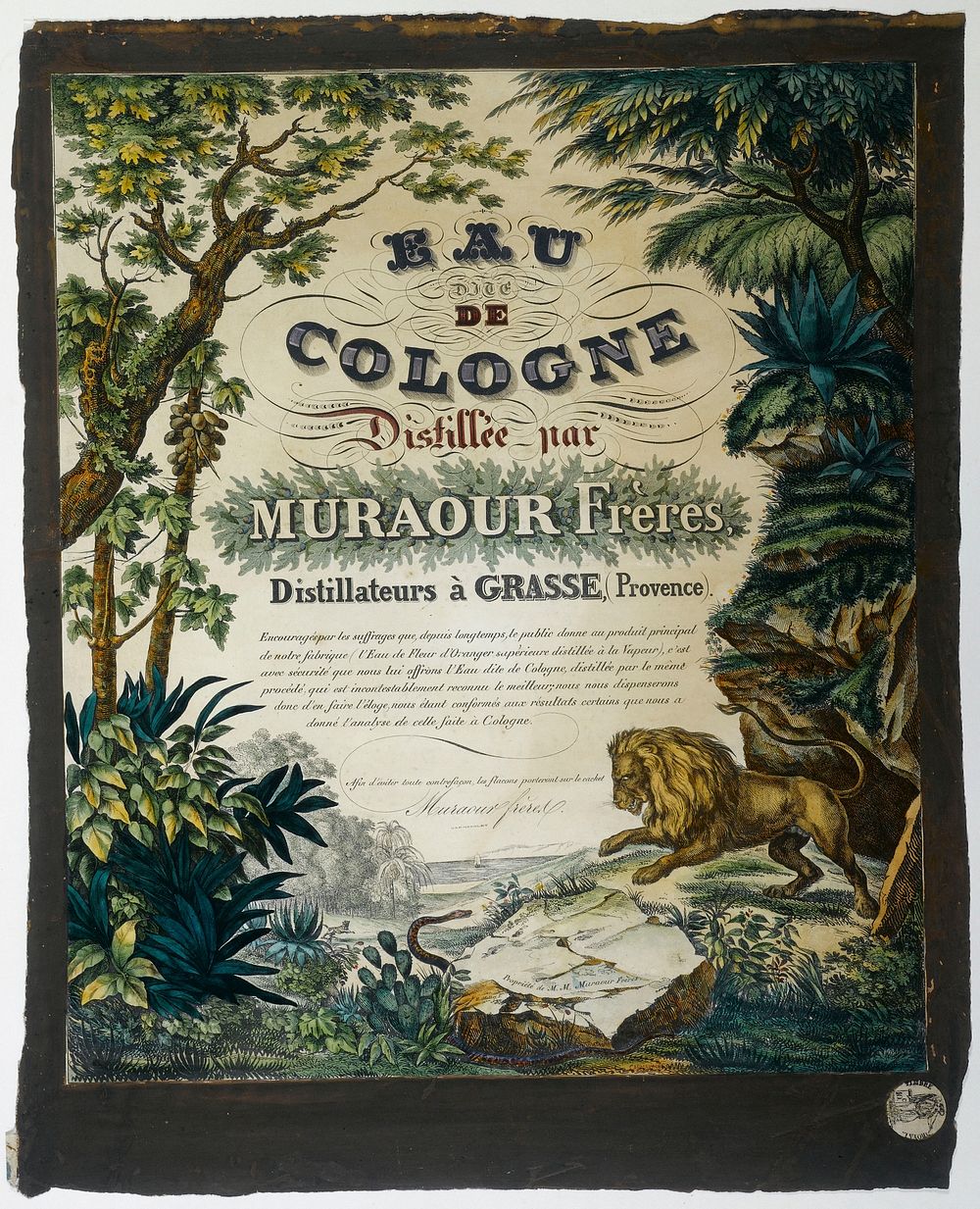 Ulysse Mathey. "Eau de Cologne Distillée par Muraour Frères Distillateurs à Grasse". Affiche. Lithographie couleur avec…