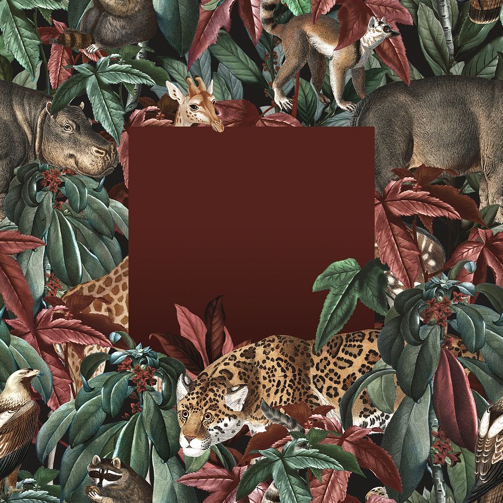 Exotic jungle frame background, vintage animal illustration