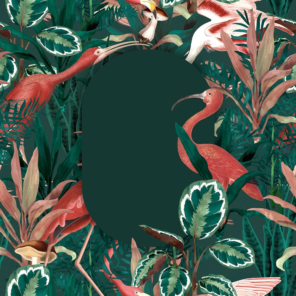 Exotic flamingo frame background, jungle illustration