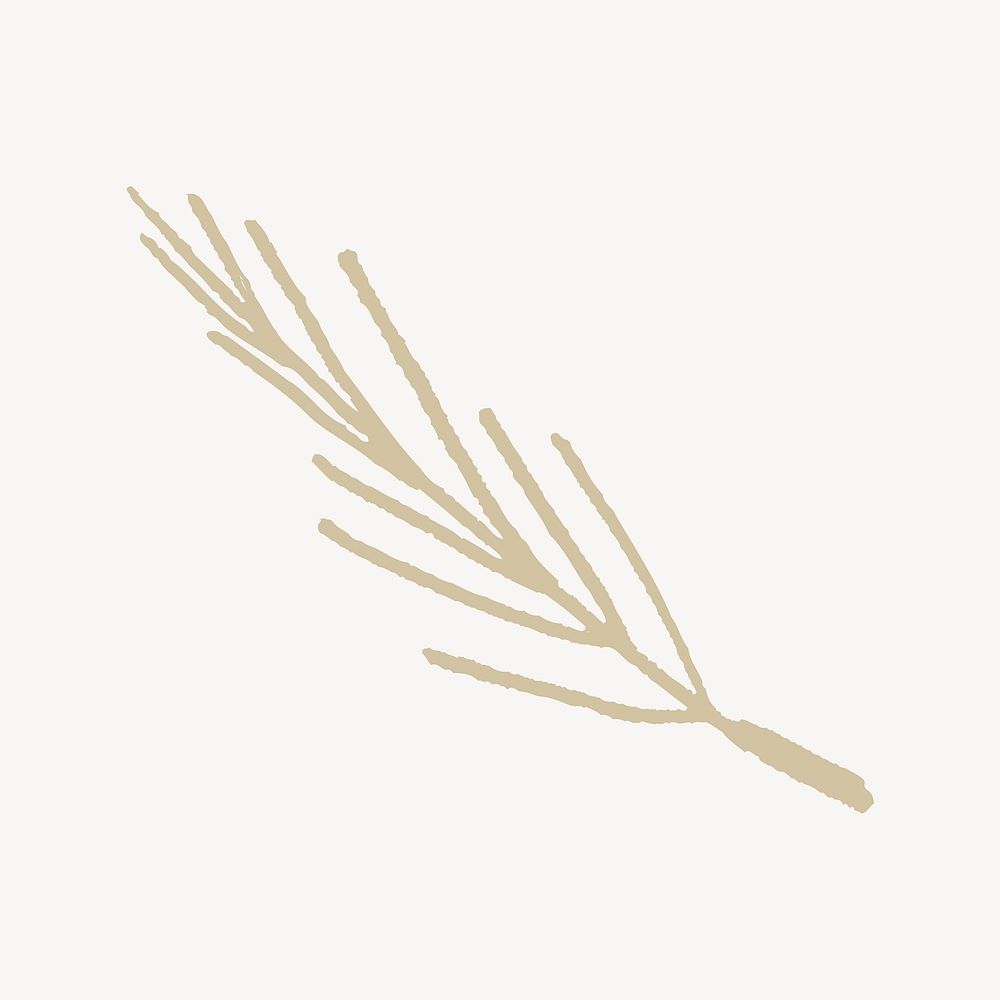 Leafless branch, botanical doodle vector
