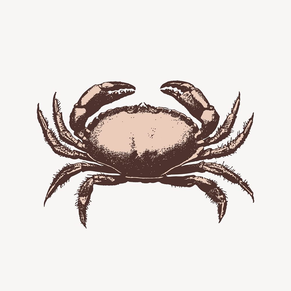 Retro crab, vintage illustration collage element psd