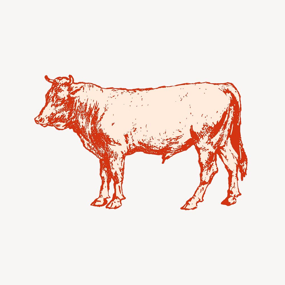 Vintage cow illustration collage element  vector