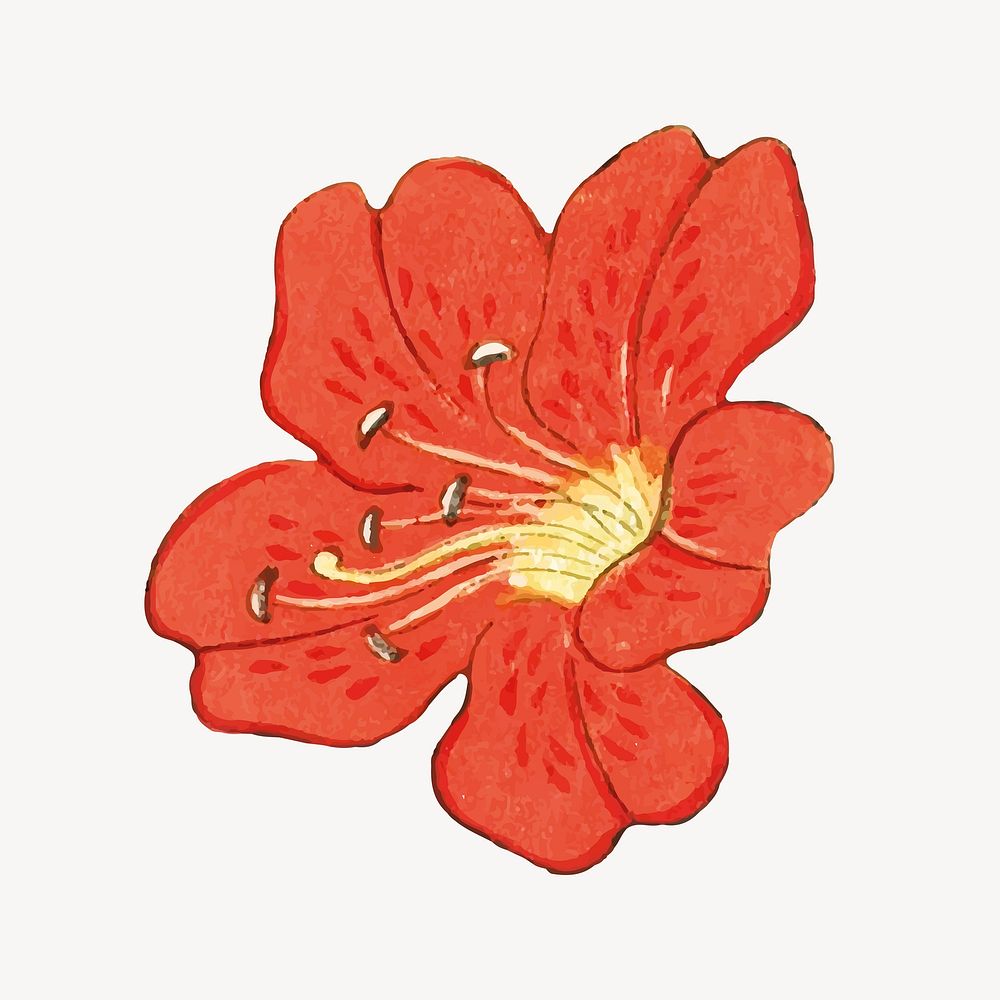 Hibiscus flower collage element vector