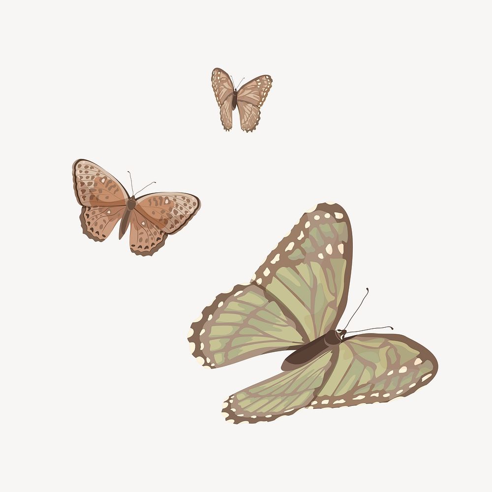 Aesthetic butterflies illustration collage element vector