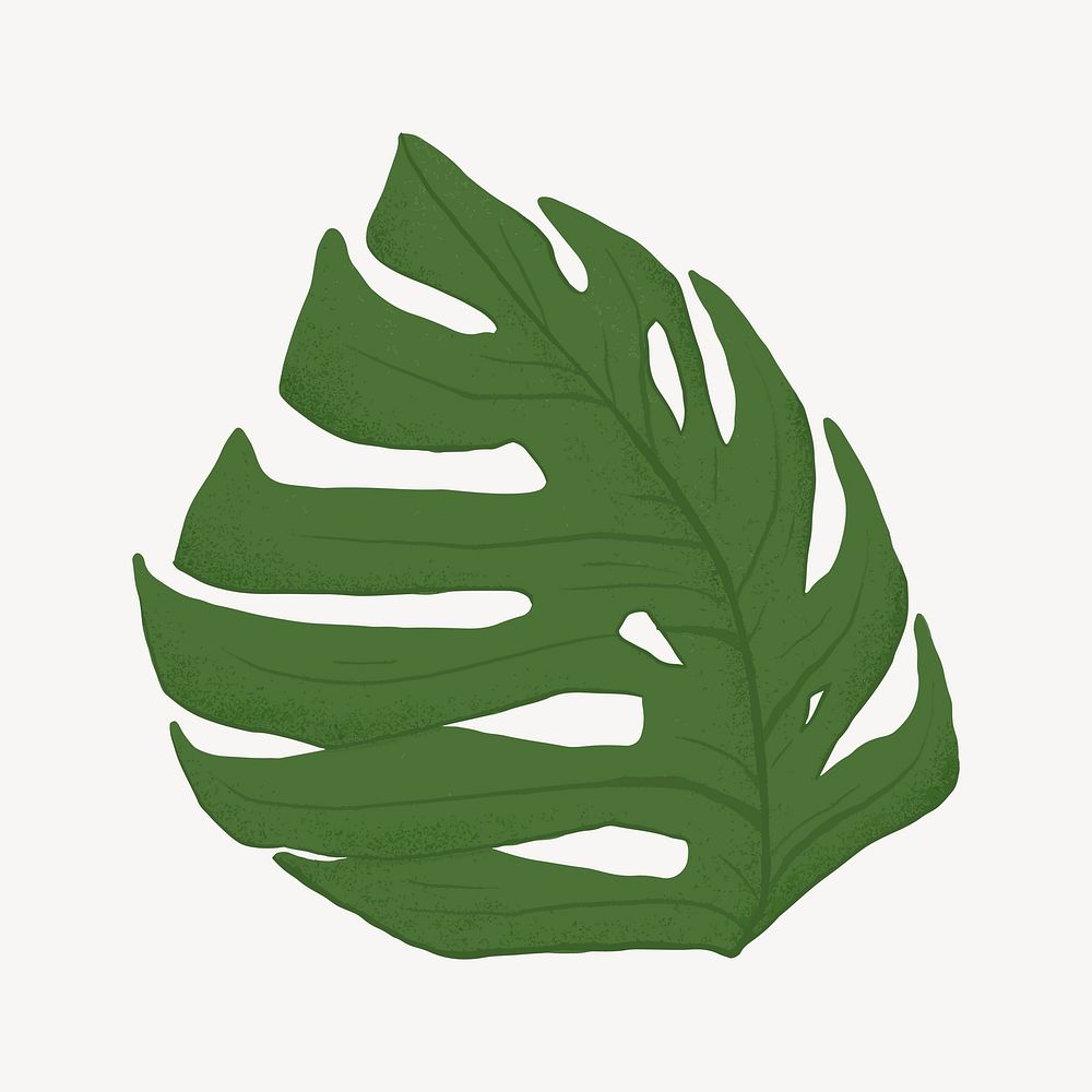 Monstera leaf collage element vector
