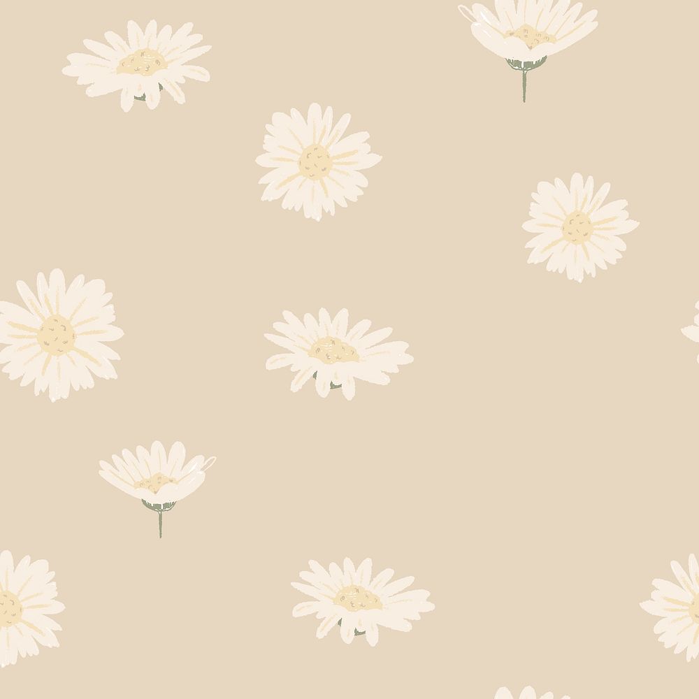 White daisy background, flower pattern illustration