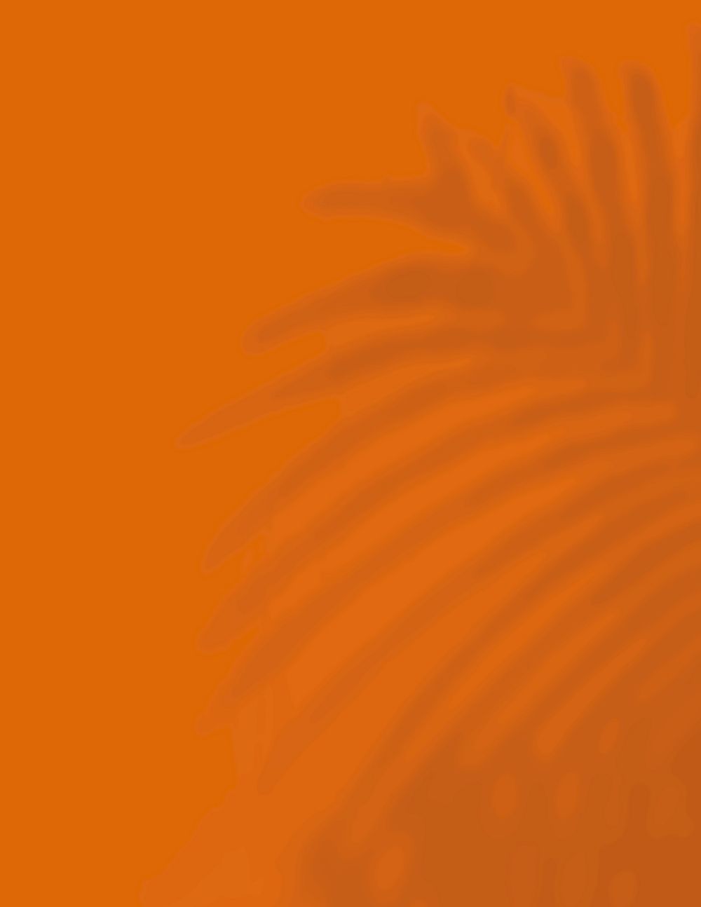 Burnt orange background, palm leaf shadow design