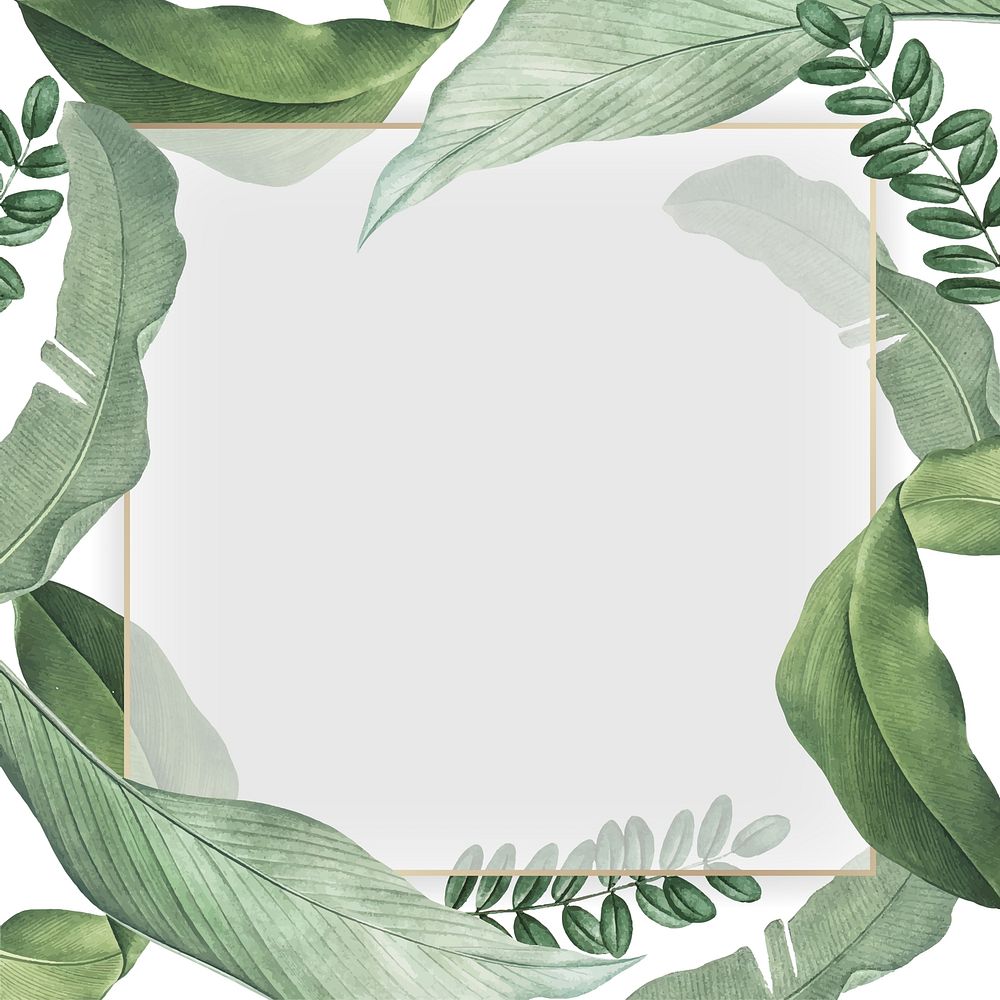 Leafy frame background, green & white botanical design
