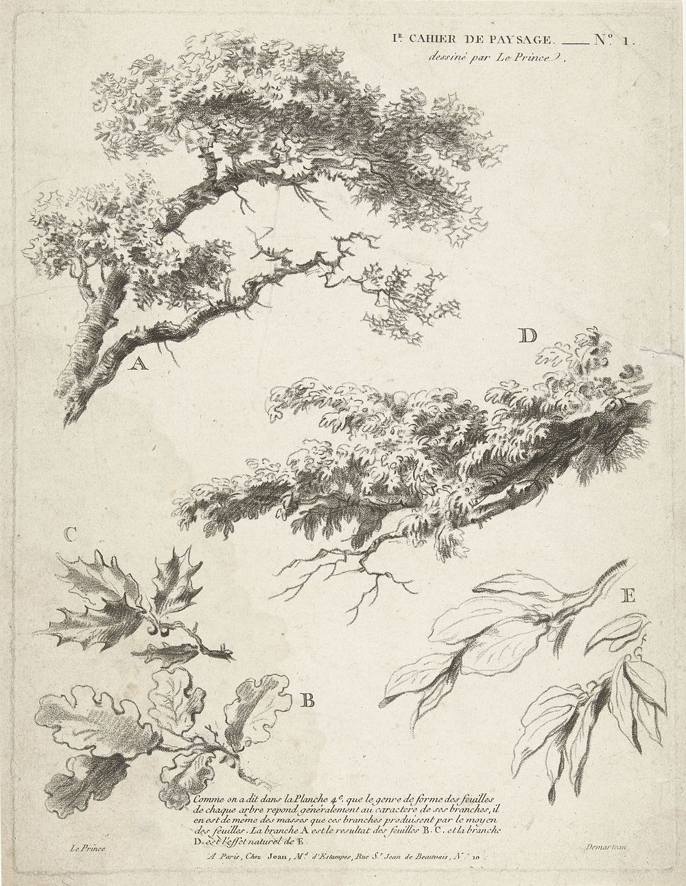 Studie van takken met bladeren (ca. 1732&ndash;1776) by Gilles Demarteau.Original from The Rijksmuseum. 