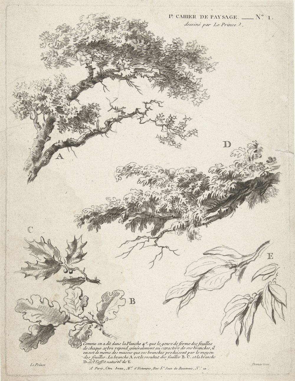 Studie van takken met bladeren (ca. 1732–1776) by Gilles Demarteau.Original from The Rijksmuseum. 