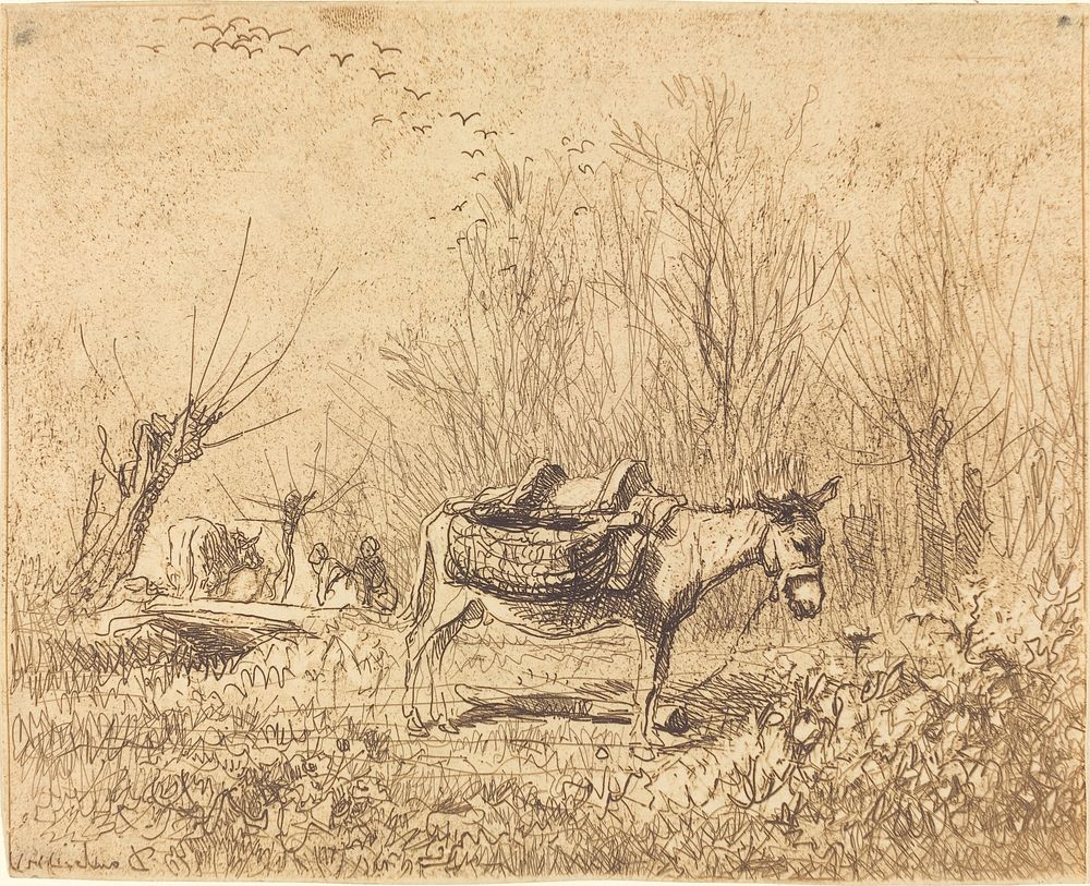 Donkey in a Field (L'Ane au pre) (1862) print in high resolution by Charles-Fran&ccedil;ois Daubigny. 