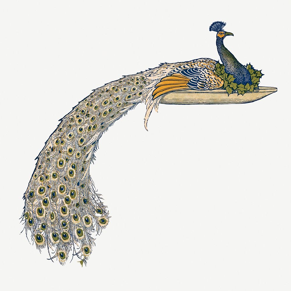 Peacock on a plate, vintage illustration psd.  Remastered by rawpixel