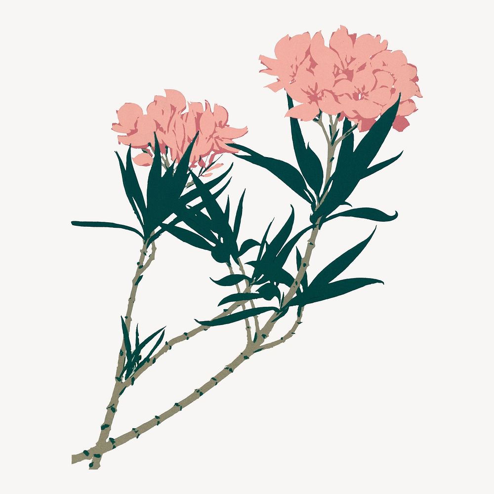 Pink vintage flower illustration psd.  Remastered by rawpixel