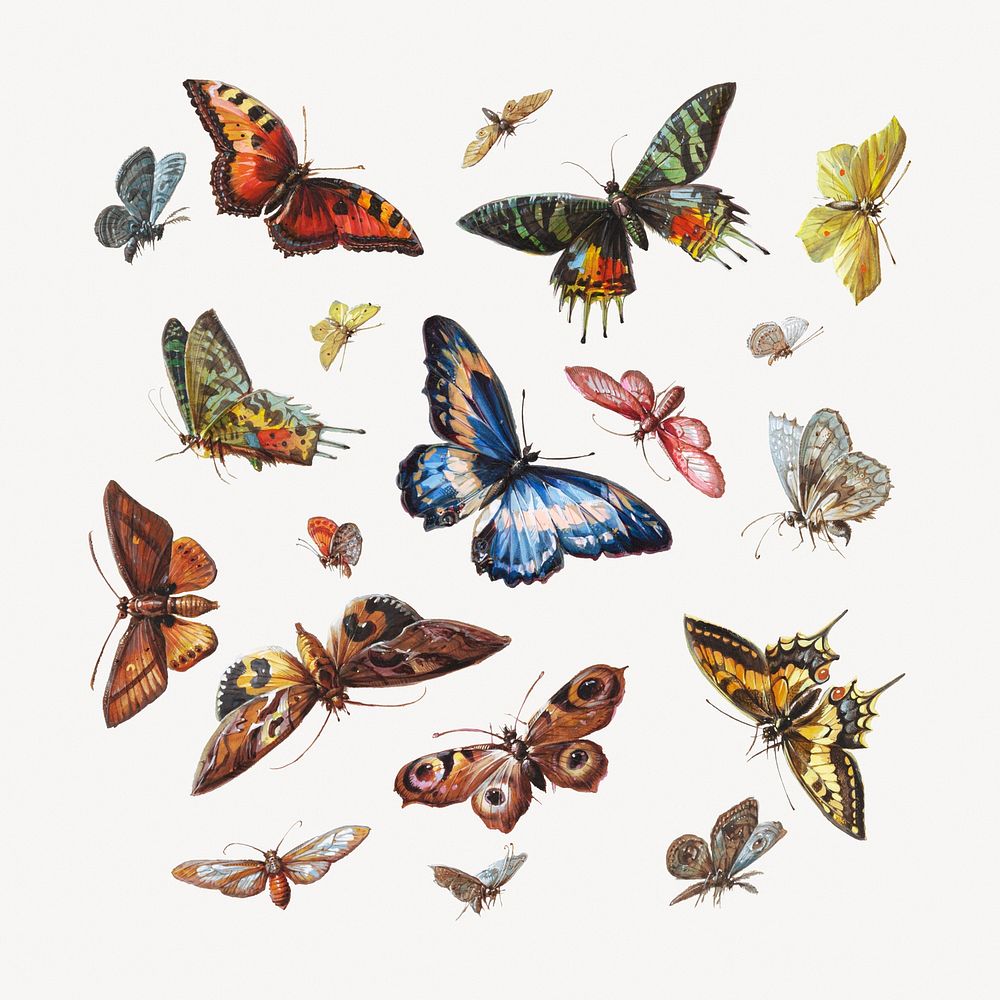 Aesthetic butterflies and moths painting.   Remastered by rawpixel