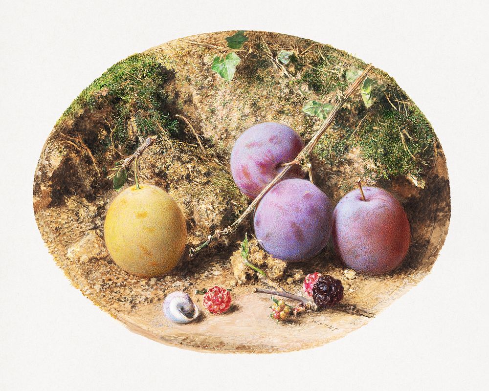 Aesthetic watercolor plums and mulberries. Original public domain image by William Henry Hunt from Yale Center for British…