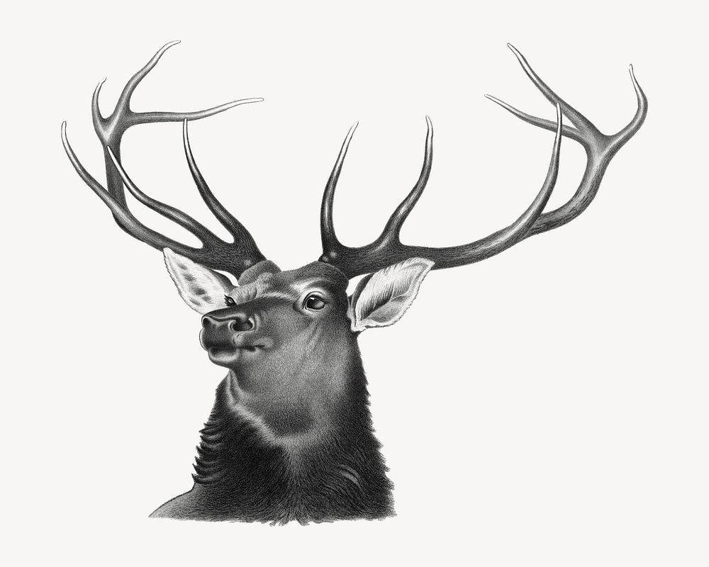 Aesthetic elk illustration. Remastered | Premium Photo - rawpixel