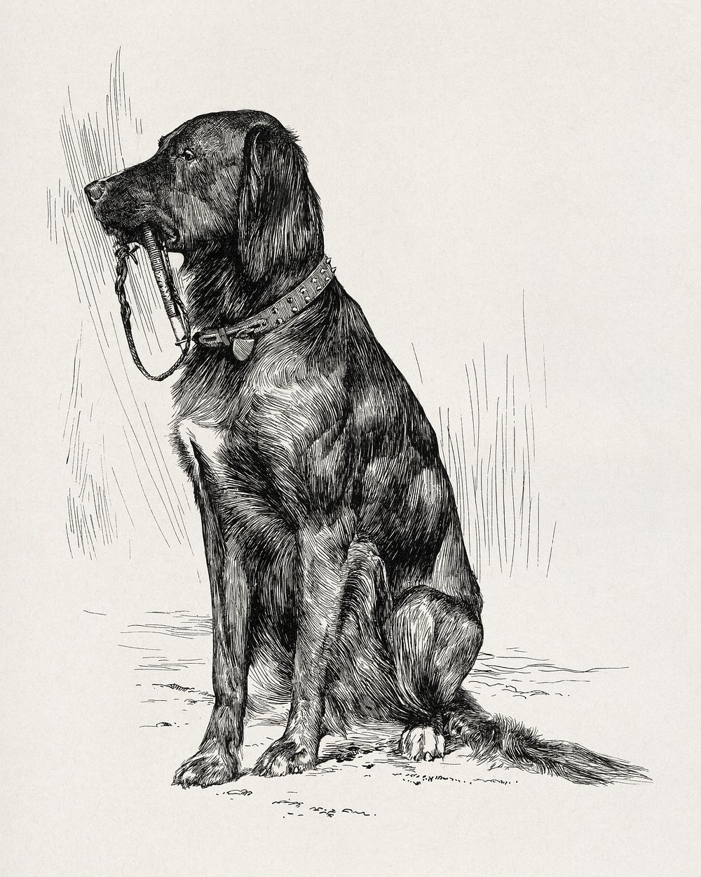 Aldrich's dog (1880s) aesthetic drawing by John Davis Hatch. Original public domain image from the National Gallery of Art.…