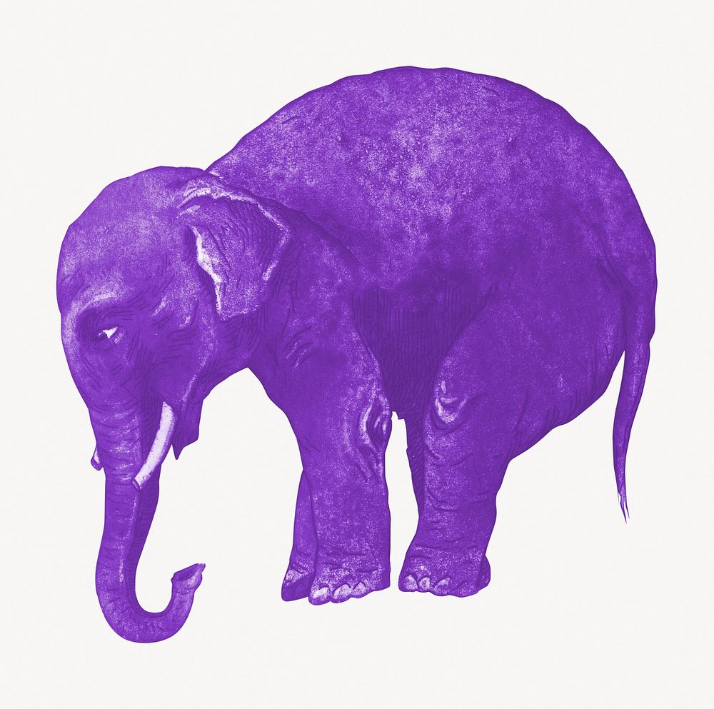 Aesthetic purple elephant illustration. Remixed by rawpixel.