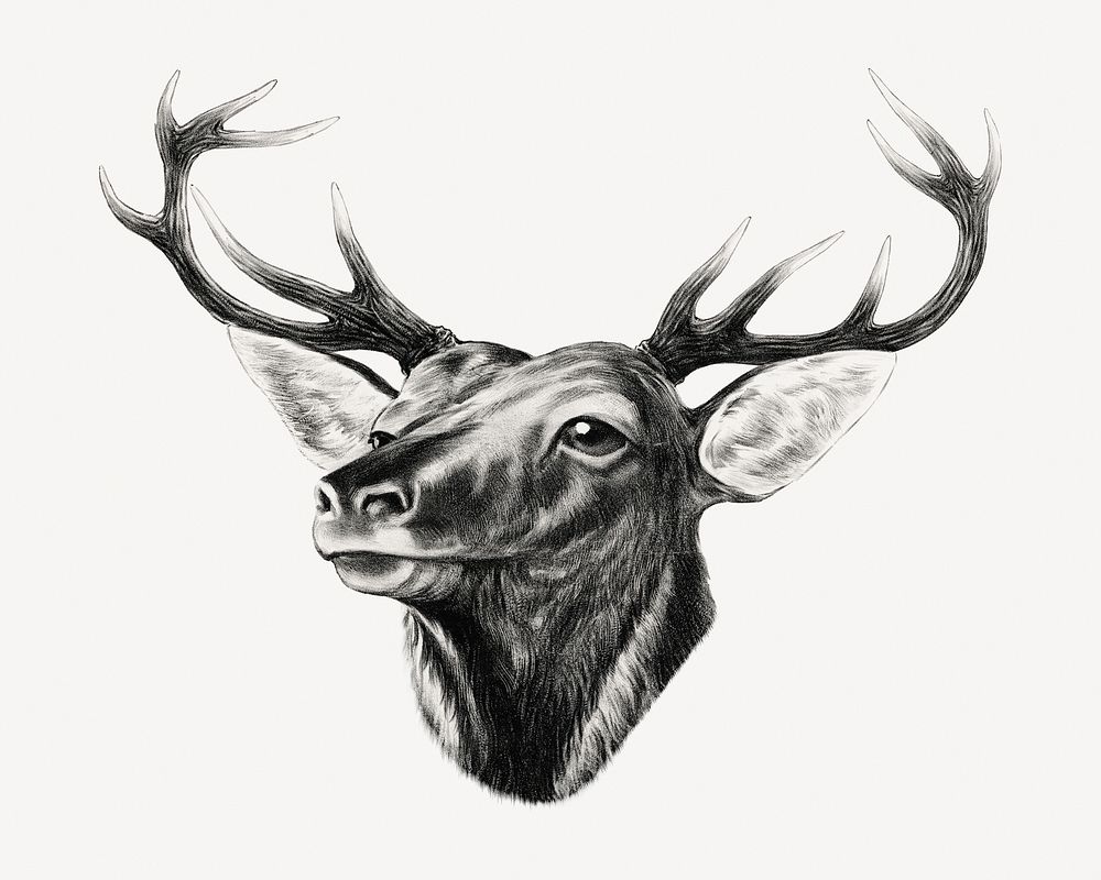 Aesthetic elk head psd.   Remastered by rawpixel