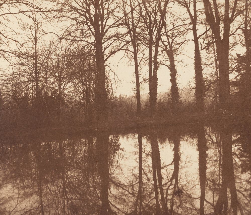 Winter Trees, Reflected in a Pond (1841-1842) photography in high resolution by William Henry Fox Talbot.