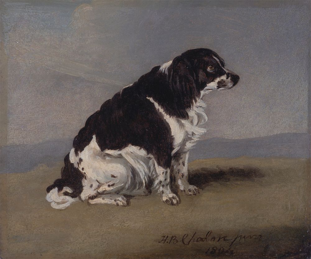 The Duchess of York's Spaniel (1804) painting in high resolution by Henry Bernard Chalon.