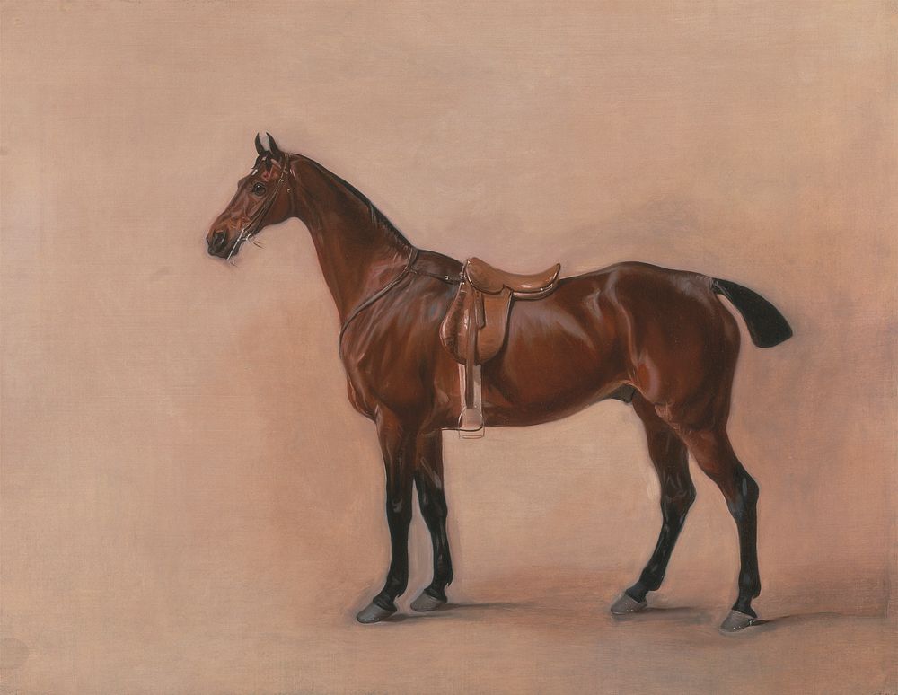 Study of a Saddled Bay Hunter (1828) painting in high resolution by John Ferneley.  