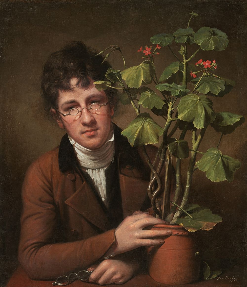 Rubens Peale with a Geranium (1801) by Rembrandt Peale.  
