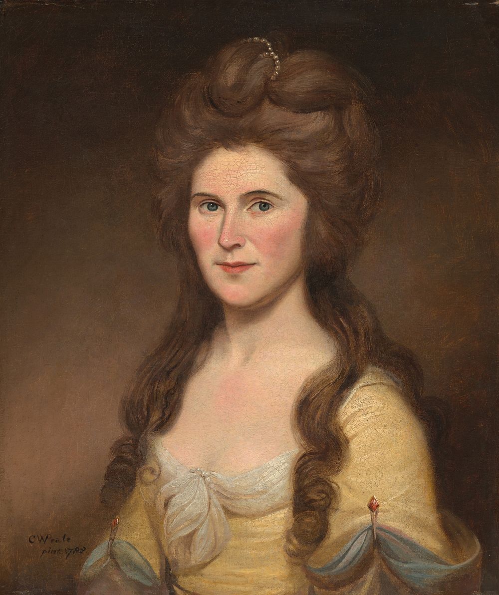 Rebecca Bryan White (Mrs. John White), (1788) by Charles Willson Peale.  