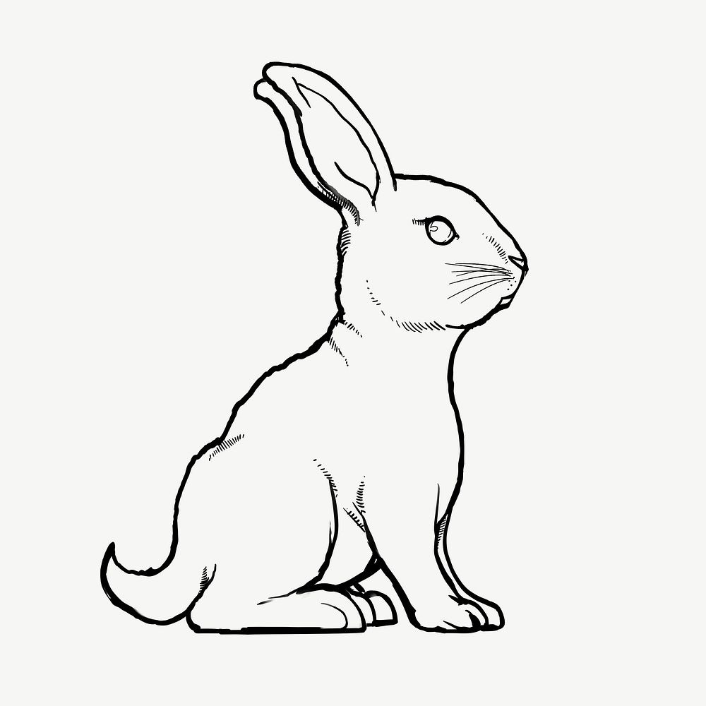 Rabbit, Chinese zodiac animal in line art design psd