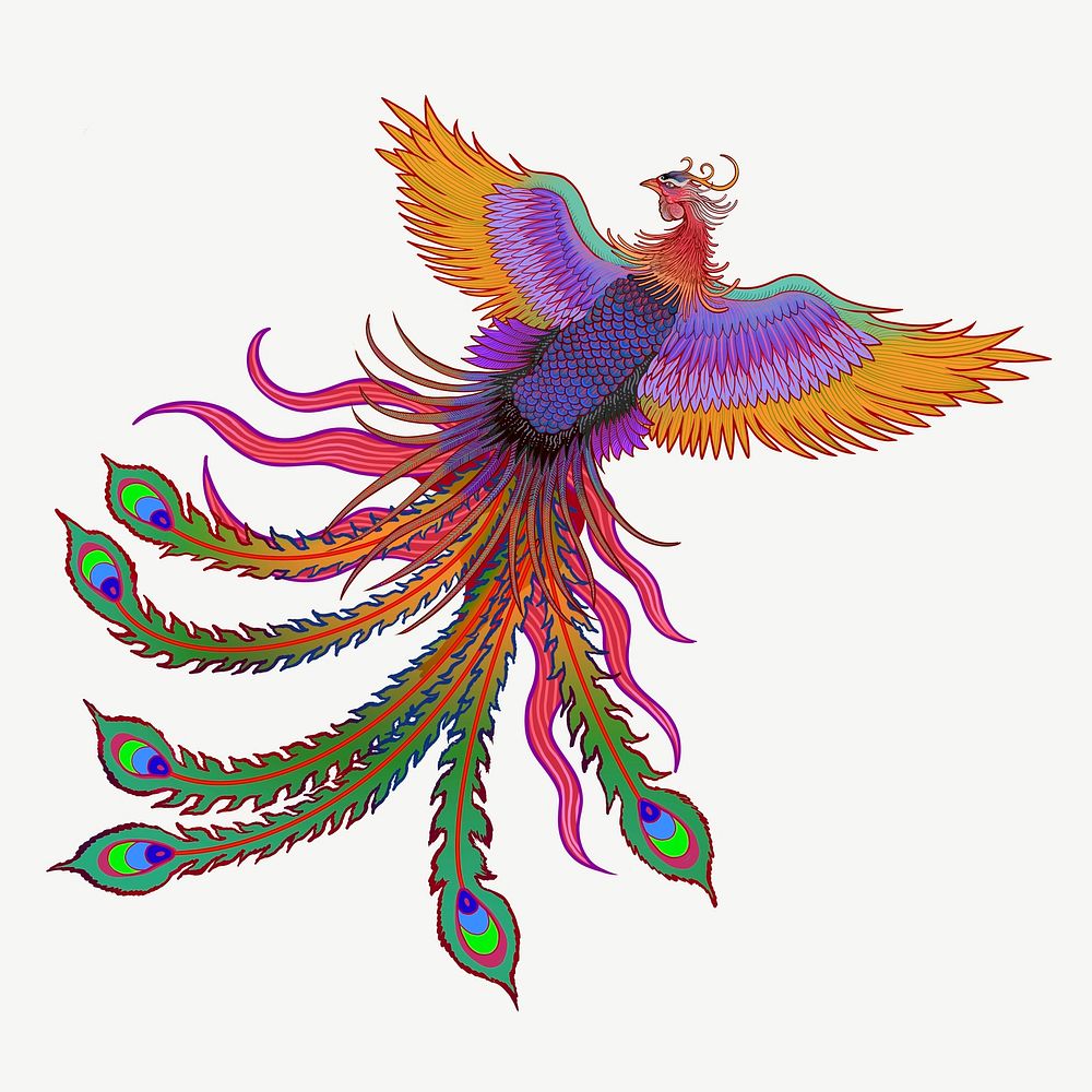 Colorful phoenix bird, Chinese animal illustration psd