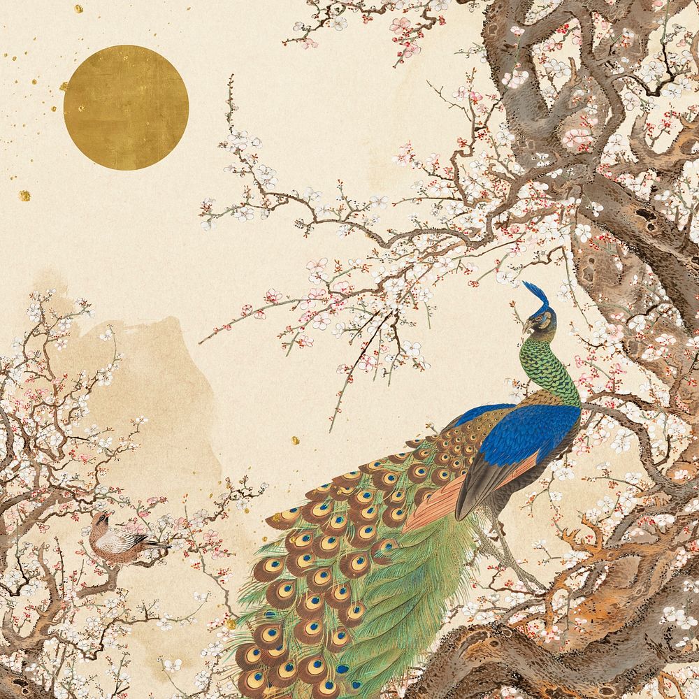 Oriental peacock background, vintage Japanese illustration