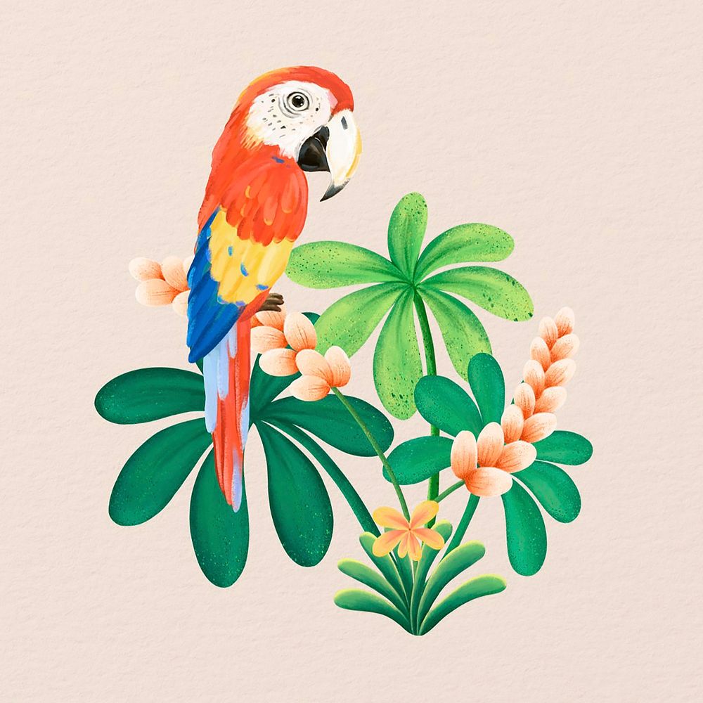 Cute macaw, animal illustration