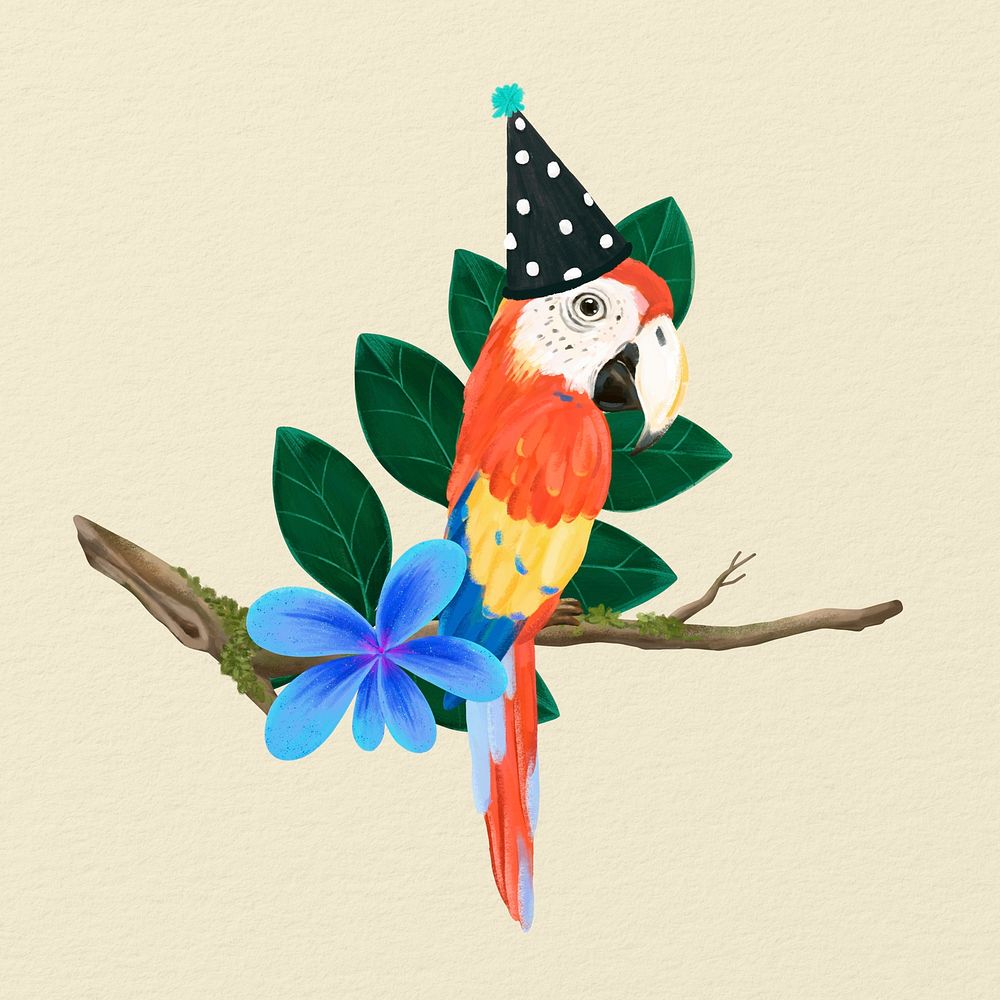 Cute macaw, animal illustration