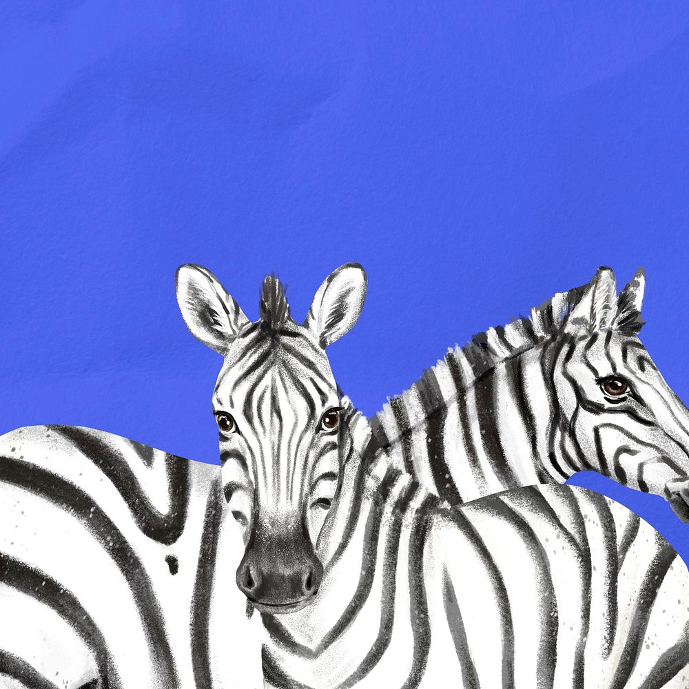 Zebras background, blue design, animal illustration
