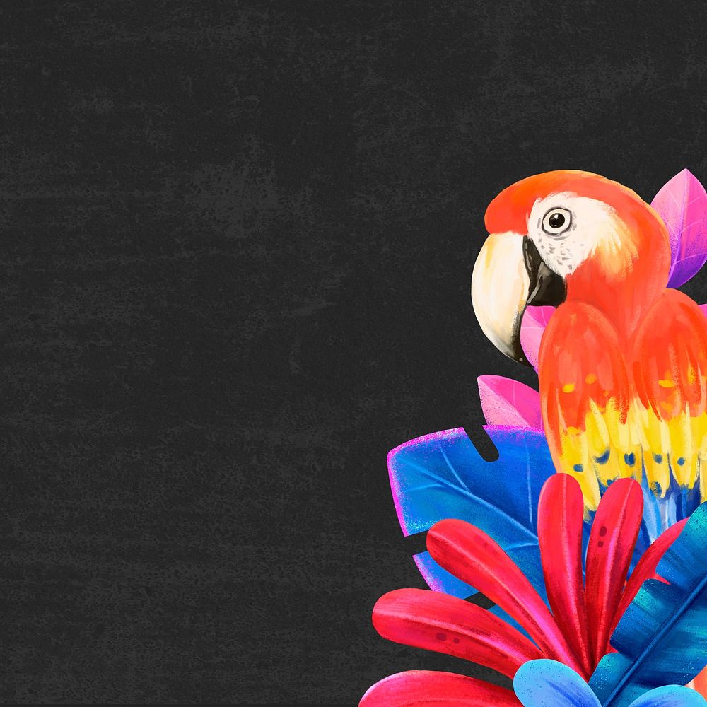Macaw bird background, black design, animal illustration