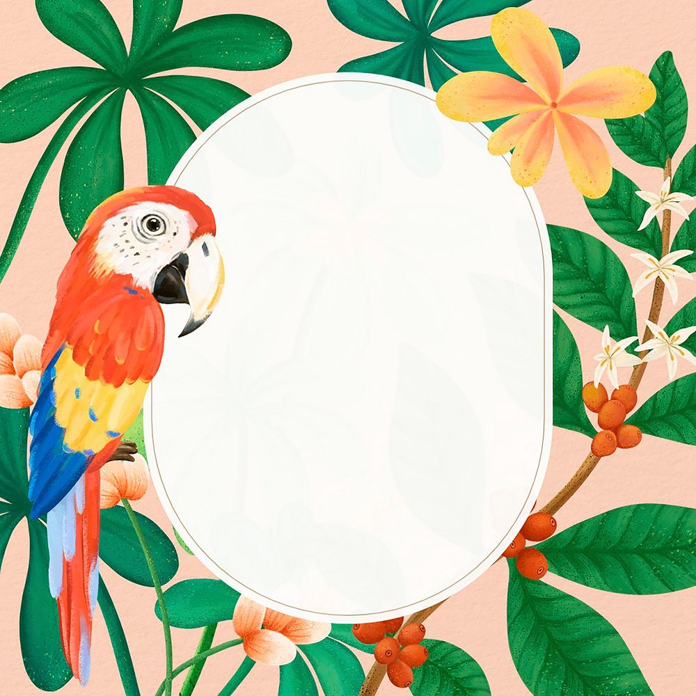 Tropical bird frame background, animal illustration
