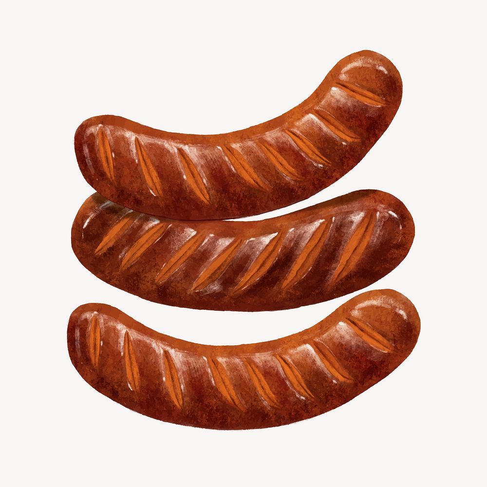 Grilled sausages bbq, food illustration vector