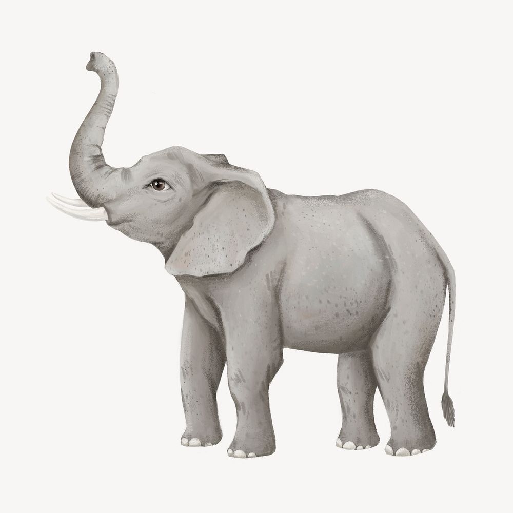 Elephant collage element, cute animal illustration