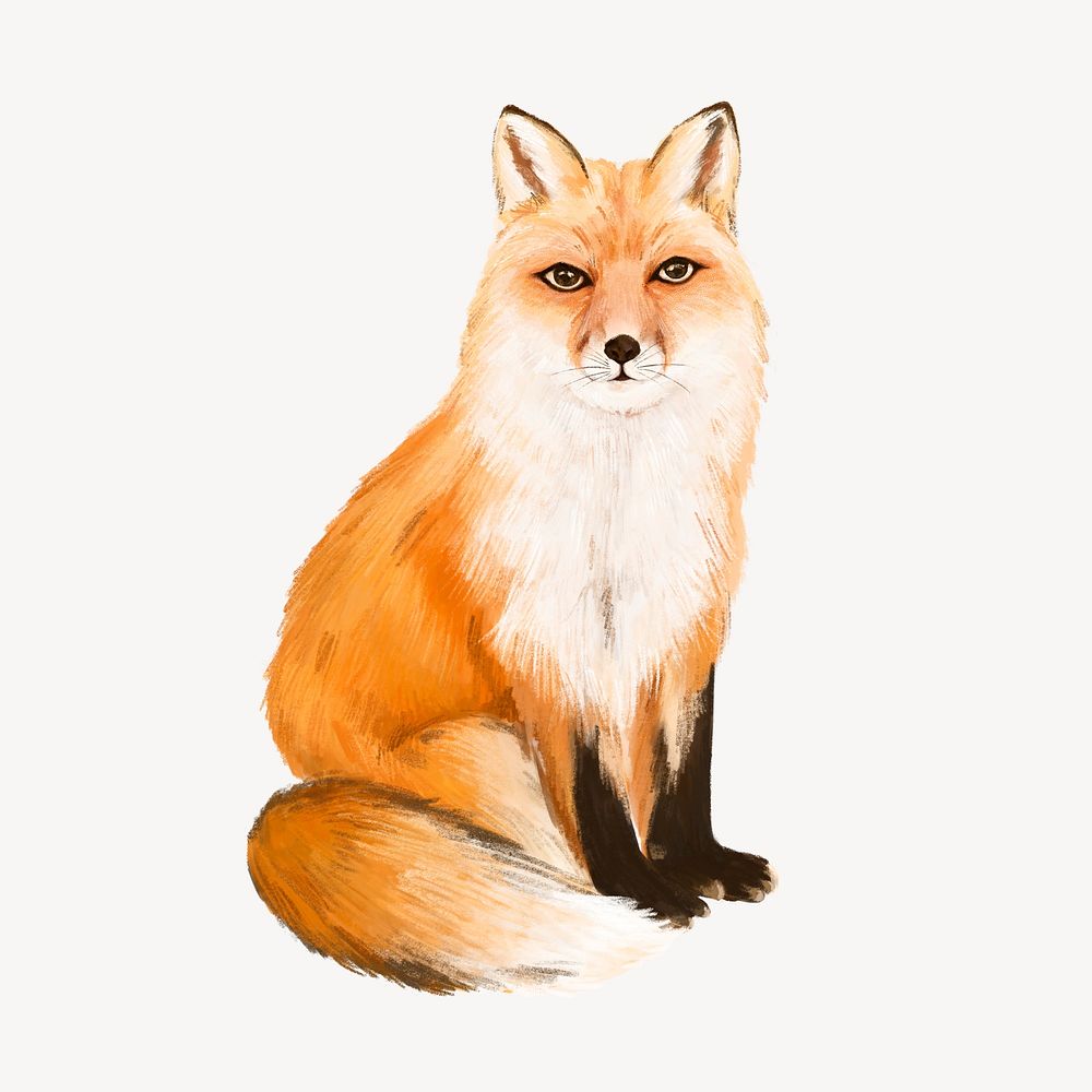 Fox collage element, cute animal illustration