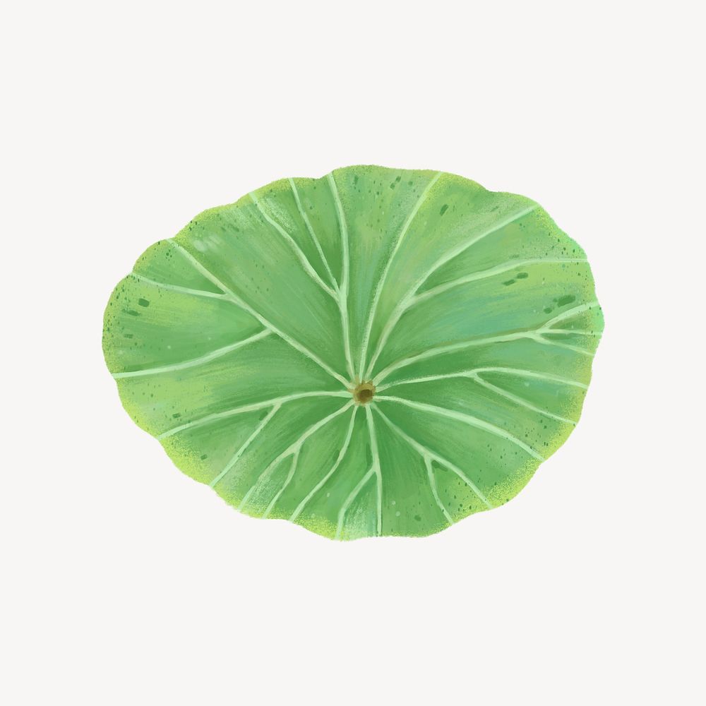 Lotus leaf collage element, botanical illustration