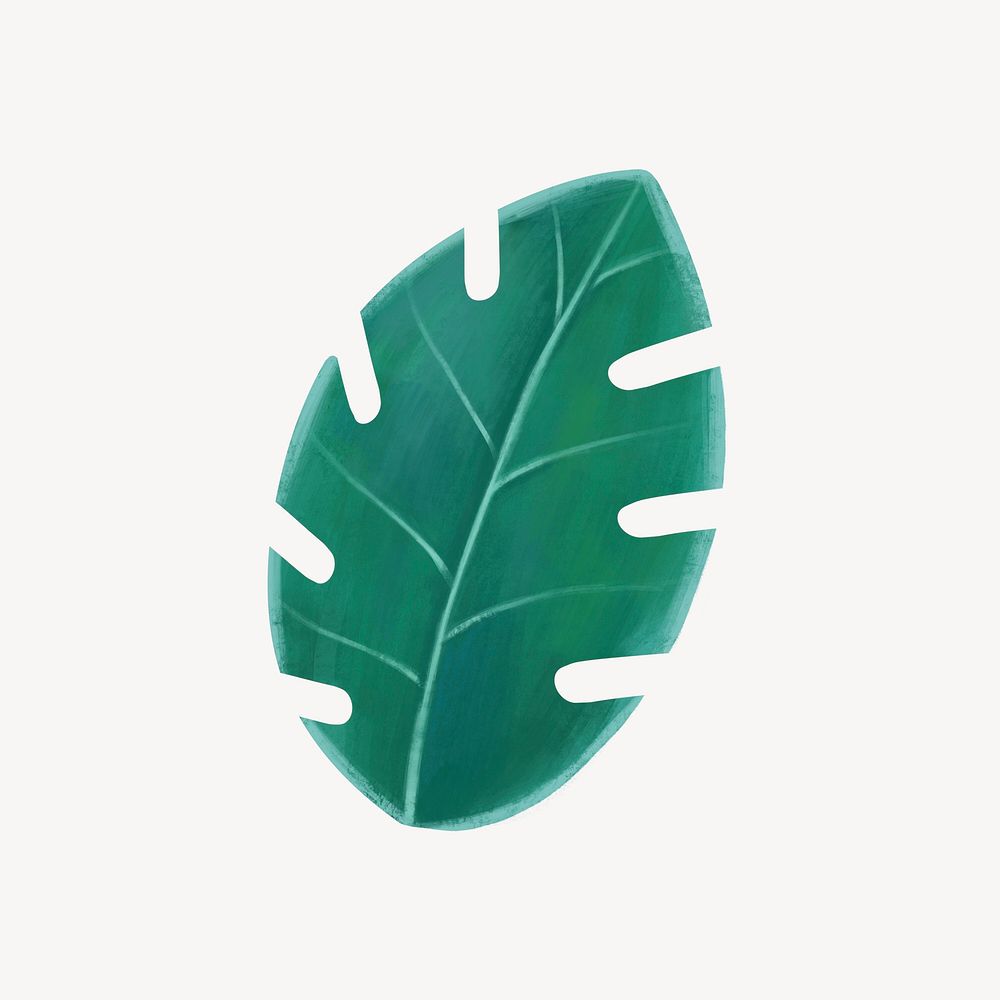 Tropical leaf collage element, botanical illustration