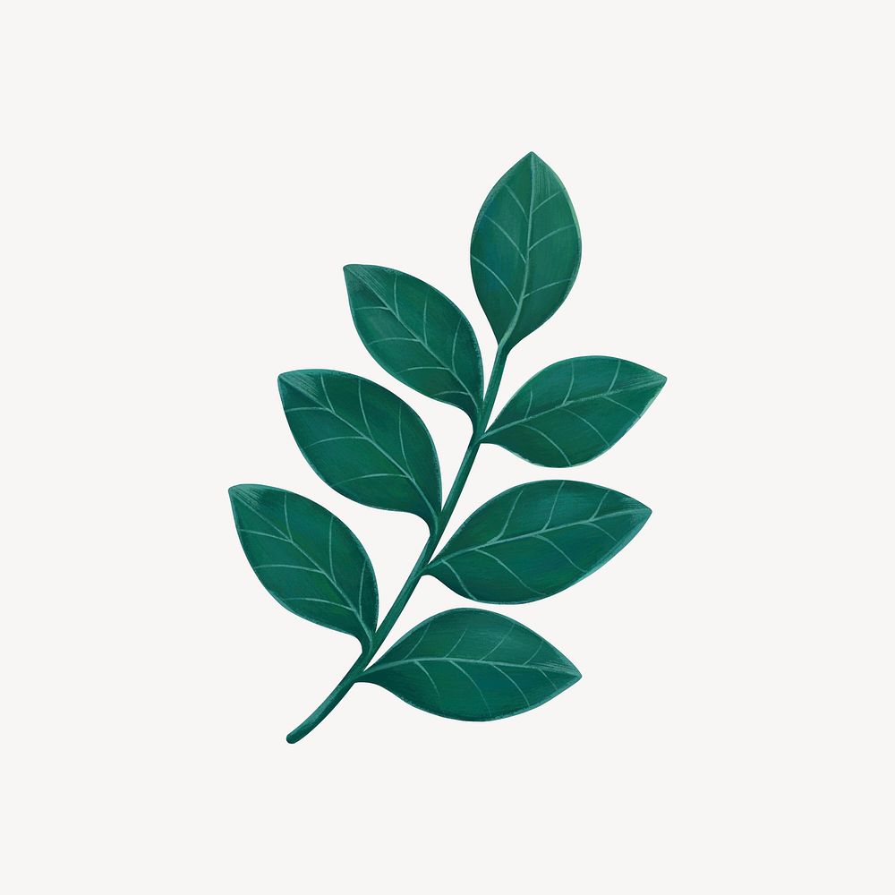 Green leaf collage element, botanical illustration