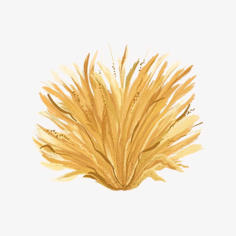 Autumn grass collage element, botanical illustration