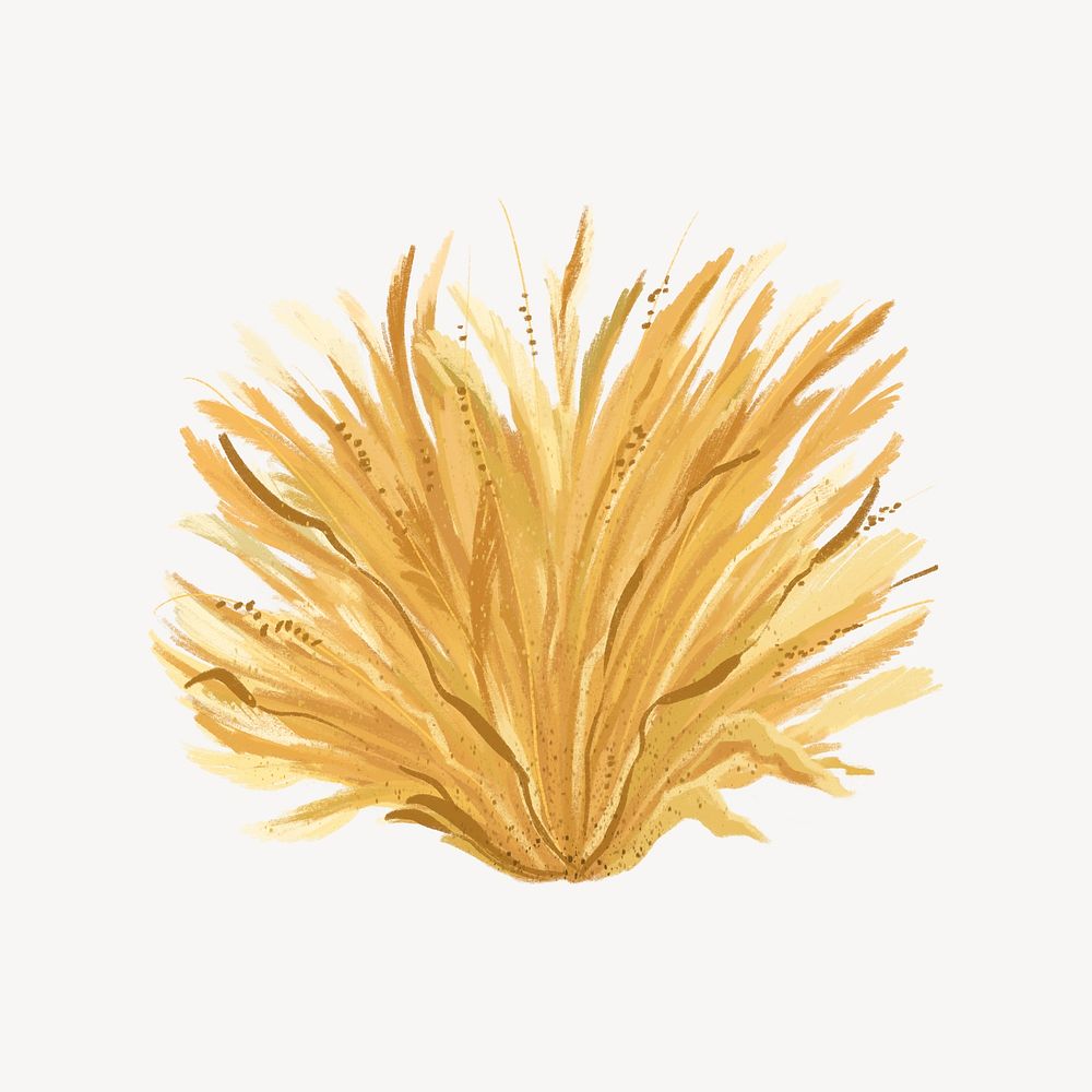 Autumn grass collage element, botanical illustration psd