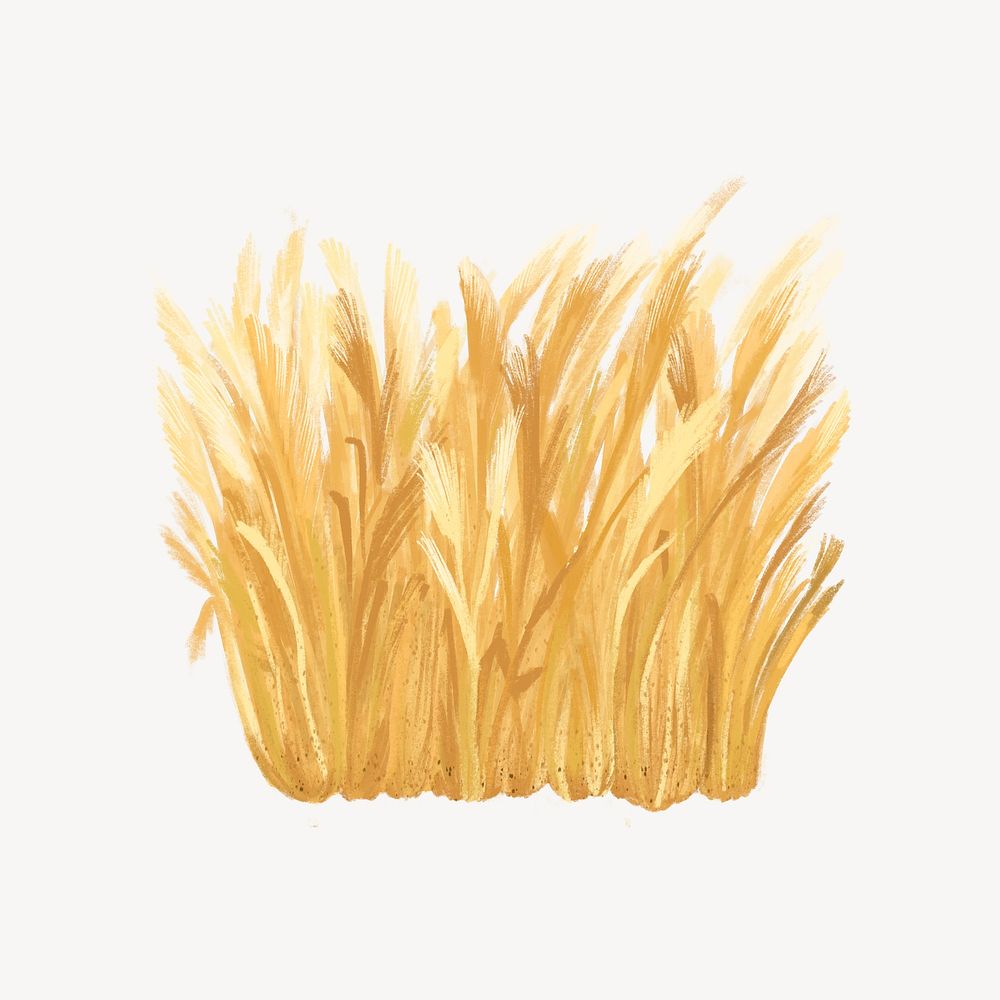 Autumn grass collage element, botanical illustration psd